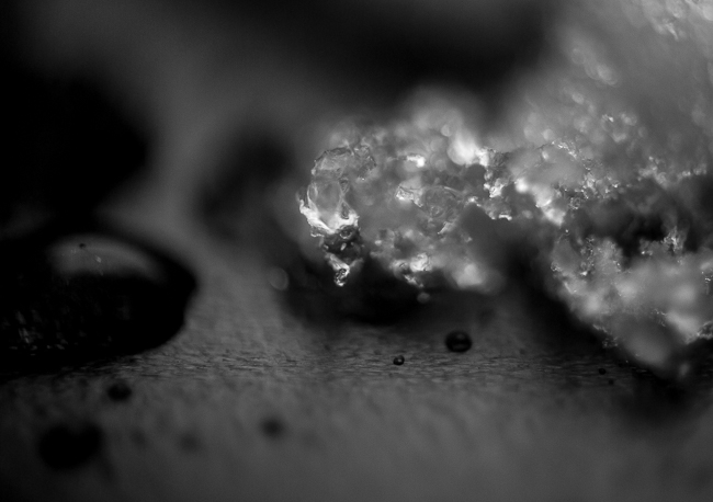 snow macro 21