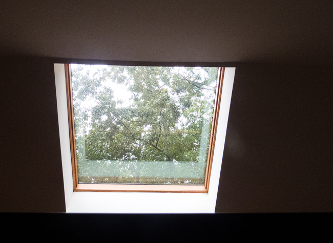 office skylight