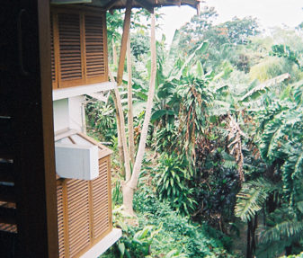 My view in Suva apartment